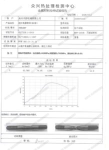 报告1 水印